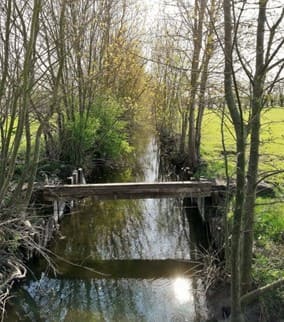 Hr pictures Avril Charente-Maritime 04 2019