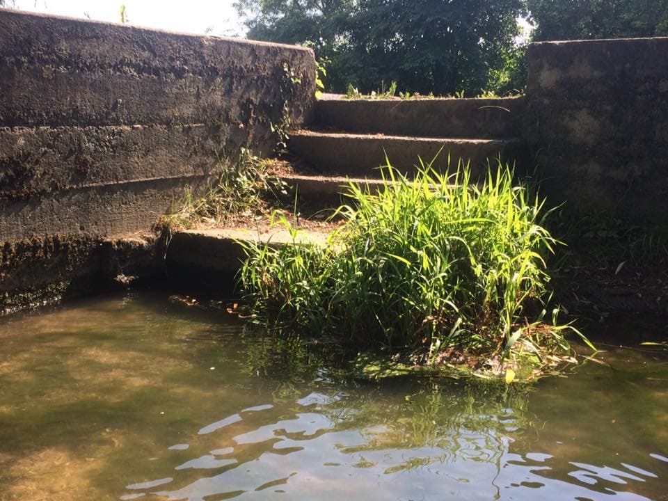 Vieux lavoir, Cramchaban, Charente-Maritime, août 2018
