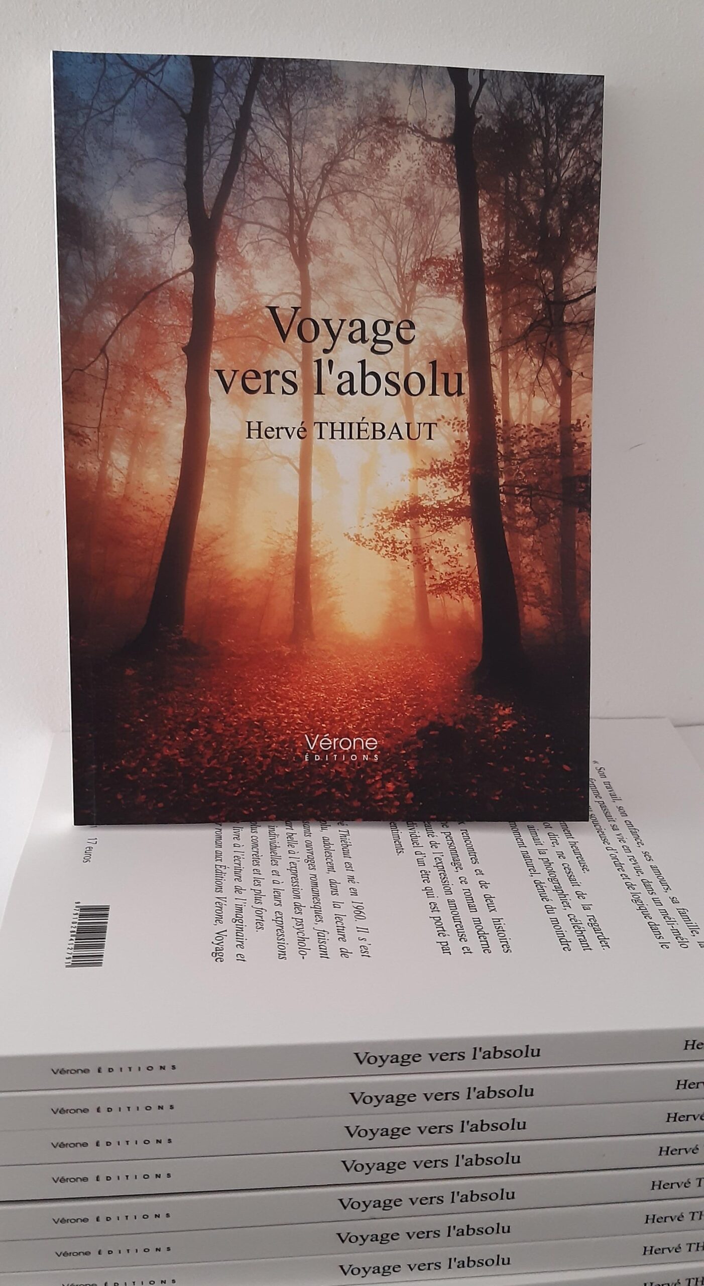 Voyage vers l'absolu Voyage vers l'absolu, Hervé Thiébaut, 2020, présentation du roman