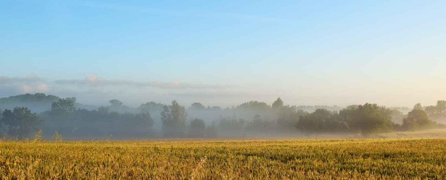Hr picture, campagne, Charente-Maritime, 2018 Hr picture, Au petit jour, Charente-Maritime, 2018