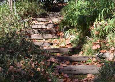 Parc Jean-Rameau, Mont-de-Marsan, nov. 2020 – Copyright Hr pictures
