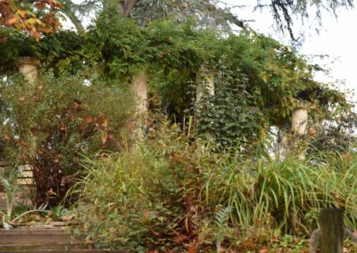 Parc Jean-Rameau, Mont-de-Marsan, nov. 2020 – Copyright Hr pictures