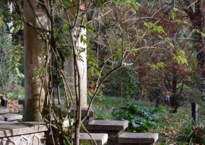 Parc Jean-Rameau, Mont-de-Marsan, nov. 2020 – Copyright Hr pictures