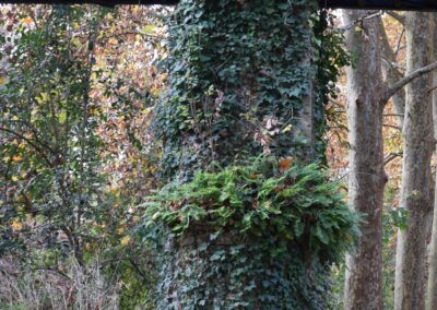 Parc Jean-Rameau, Mont-de-Marsan, nov. 2020 – Copyright Hr pictures