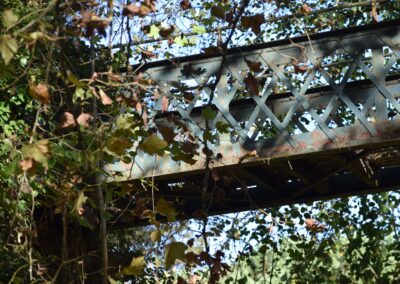 Parc Jean-Rameau, Mont-de-Marsan, nov. 2020 – Copyright Hr pictures