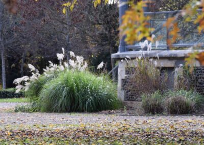 Parc Jean-Rameau, Mont-de-Marsan, nov. 2020 – Copyright Hr pictures