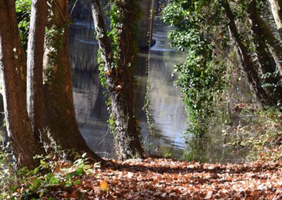 Parc Jean-Rameau, Mont-de-Marsan, nov. 2020 – Copyright Hr pictures
