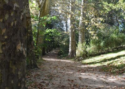 Parc Jean-Rameau, Mont-de-Marsan, nov. 2020 – Copyright Hr pictures