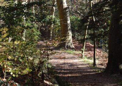 Parc Jean-Rameau, Mont-de-Marsan, nov. 2020 – Copyright Hr pictures