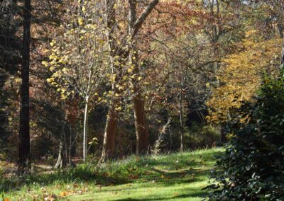 Parc Jean-Rameau, Mont-de-Marsan, nov. 2020 – Copyright Hr pictures