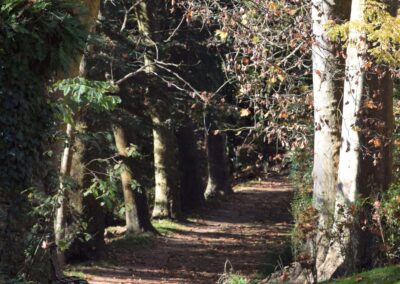 Parc Jean-Rameau, Mont-de-Marsan, nov. 2020 – Copyright Hr pictures